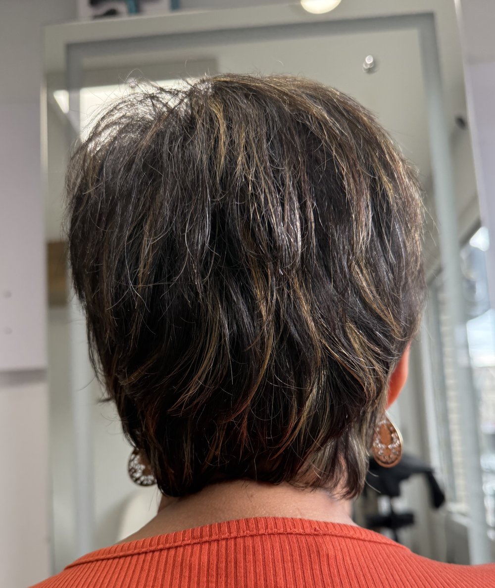 Brown short shag highlights — Lush Atelier Beauty Salon